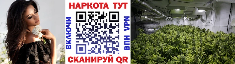 Галлюциногенные грибы Кодинск