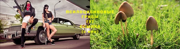 бутират Баксан